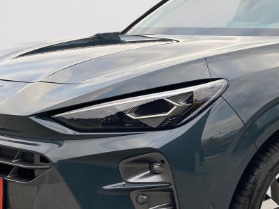 Cupra Terramar Gebrauchtwagen