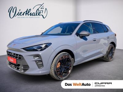 Cupra Terramar Gebrauchtwagen