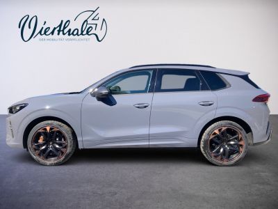 Cupra Terramar Gebrauchtwagen Cupra Terramar Gebrauchtwagen