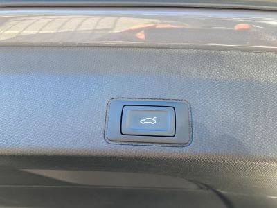 Cupra Terramar Gebrauchtwagen Cupra Terramar Gebrauchtwagen