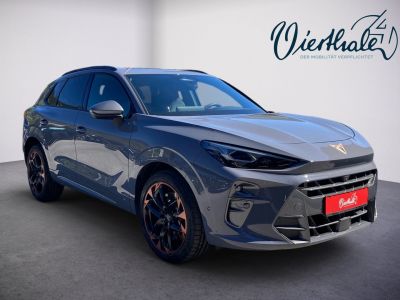 Cupra Terramar Gebrauchtwagen Cupra Terramar Gebrauchtwagen
