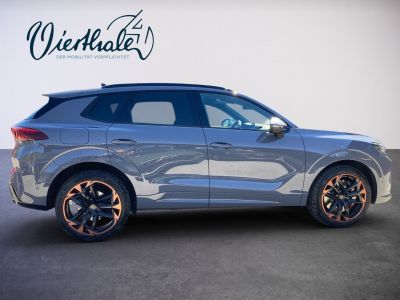 Cupra Terramar Gebrauchtwagen Cupra Terramar Gebrauchtwagen