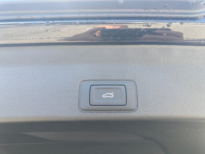 Cupra Terramar Gebrauchtwagen