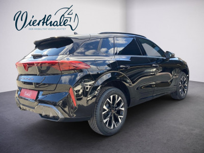 Cupra Terramar Gebrauchtwagen