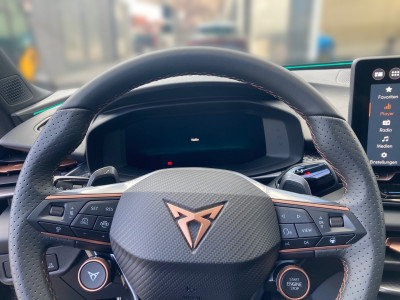 Cupra Terramar Gebrauchtwagen
