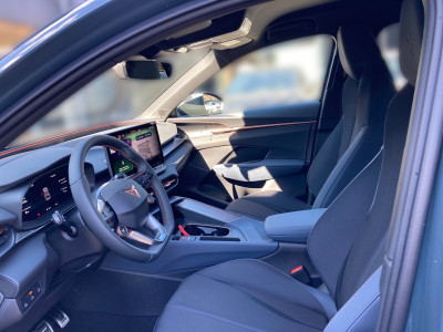 Cupra Terramar Gebrauchtwagen