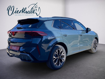 Cupra Terramar Gebrauchtwagen