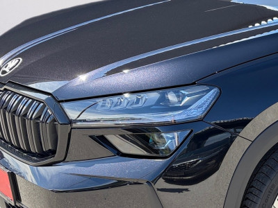 Skoda Kodiaq Gebrauchtwagen Skoda Kodiaq Gebrauchtwagen