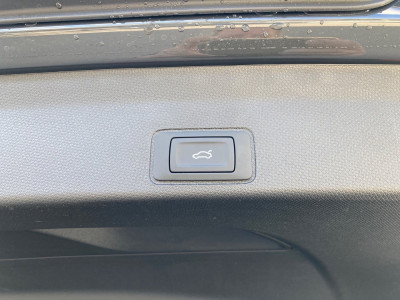 Cupra Terramar Gebrauchtwagen Cupra Terramar Gebrauchtwagen
