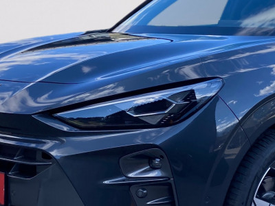 Cupra Terramar Gebrauchtwagen Cupra Terramar Gebrauchtwagen