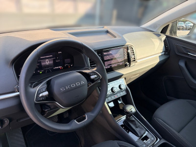 Skoda Karoq Gebrauchtwagen Skoda Karoq Gebrauchtwagen