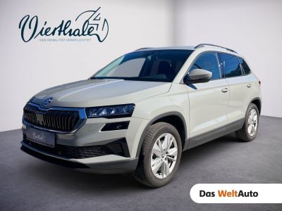 Skoda Karoq Gebrauchtwagen