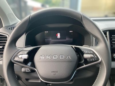 Skoda Karoq Gebrauchtwagen Skoda Karoq Gebrauchtwagen