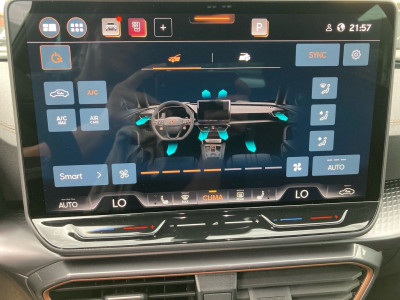 Cupra Formentor Gebrauchtwagen
