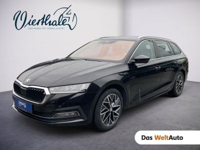 Skoda Octavia Gebrauchtwagen