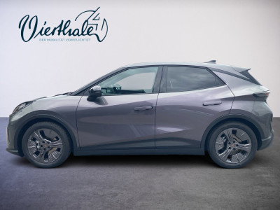 Cupra Raval Gebrauchtwagen Cupra Raval Gebrauchtwagen