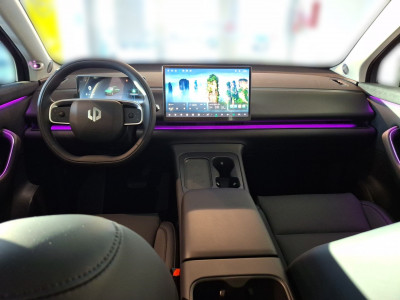 Leapmotor C10 Vorführwagen Leapmotor C10 Vorführwagen