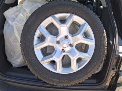 Jeep Avenger Gebrauchtwagen