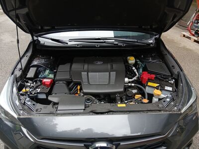 Subaru Crosstrek Tageszulassung