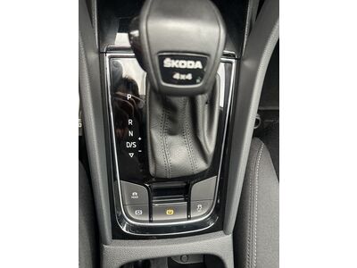 Skoda Karoq Gebrauchtwagen