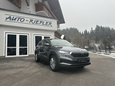 Skoda Karoq Gebrauchtwagen Skoda Karoq Gebrauchtwagen