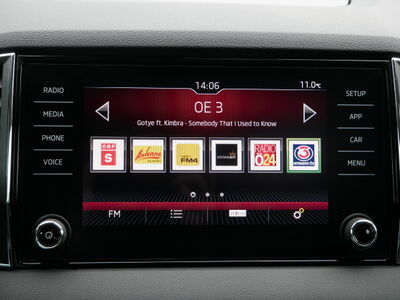 Skoda Karoq Gebrauchtwagen