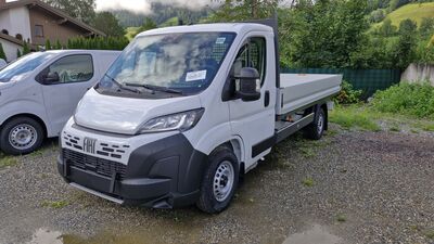 Fiat Ducato Neuwagen