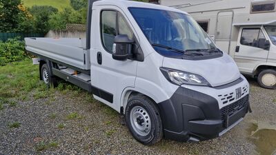 Fiat Ducato Neuwagen