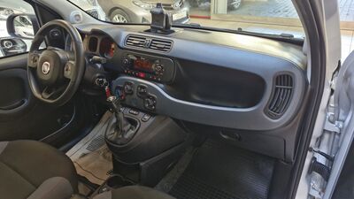 Fiat Panda Gebrauchtwagen