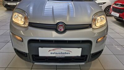 Fiat Panda Gebrauchtwagen
