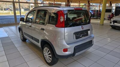 Fiat Panda Gebrauchtwagen