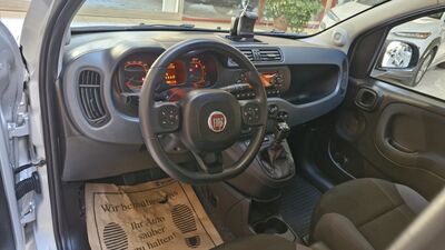 Fiat Panda Gebrauchtwagen