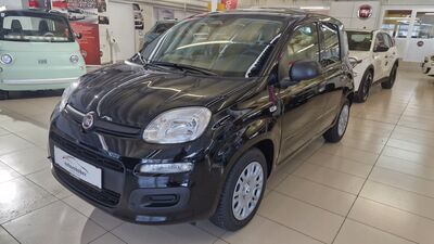 Fiat Panda Neuwagen