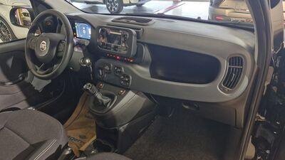 Fiat Panda Neuwagen