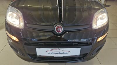 Fiat Panda Neuwagen