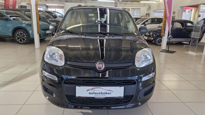 Fiat Panda Neuwagen