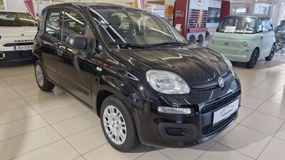 Fiat Panda Neuwagen