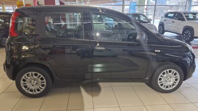 Fiat Panda Neuwagen