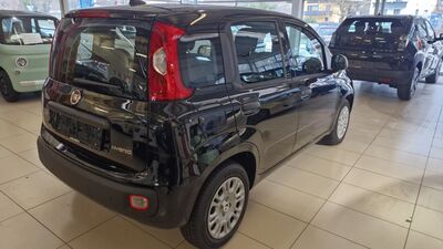 Fiat Panda Neuwagen