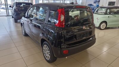 Fiat Panda Neuwagen
