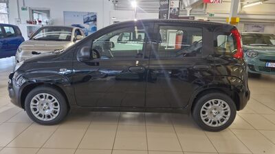 Fiat Panda Neuwagen
