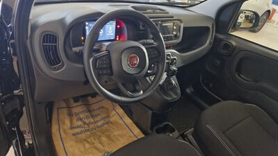 Fiat Panda Neuwagen