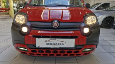 Fiat Panda Gebrauchtwagen