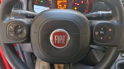 Fiat Panda Gebrauchtwagen