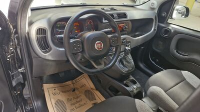 Fiat Panda Gebrauchtwagen