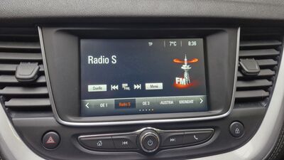 Opel Grandland X Gebrauchtwagen