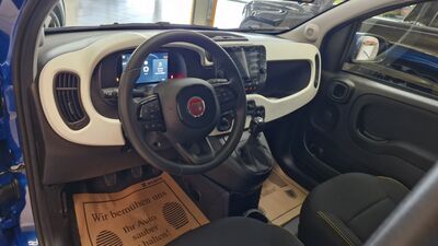 Fiat Pandina Neuwagen