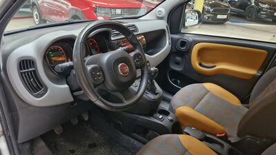 Fiat Panda Gebrauchtwagen