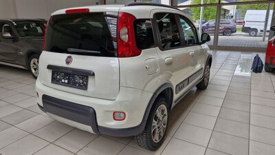 Fiat Panda Gebrauchtwagen