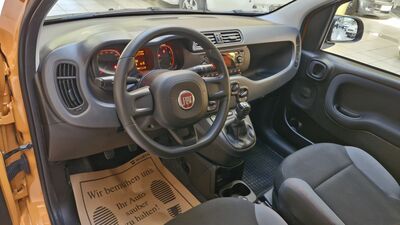 Fiat Panda Gebrauchtwagen